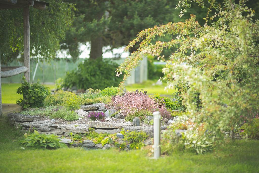 Arina Cottages Nasva الغرفة الصورة